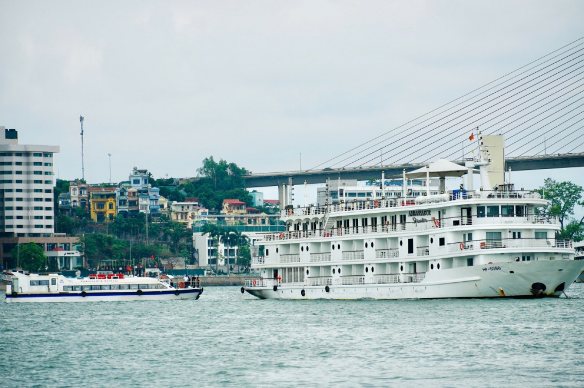 El barco Ambassador Signature, del grupo Asiático de cruceros lujosos, transporta a los visitantes en el itinerario que conecta la bahía de Ha Long con la bahía de Lan Ha. Foto: baoquangninh.vn