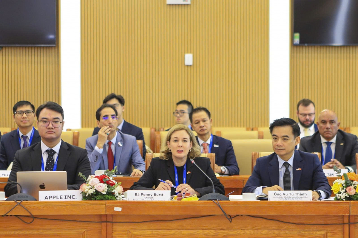 Bà Penny Burtt, Chủ tịch Boeing Khu vực Đông Nam Á phát biểu tại buổi tiếp. Ảnh: baoxaydung.vn