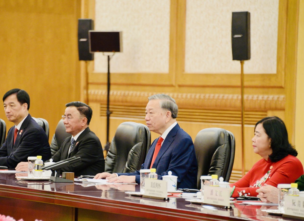 越共中央总书记、国主席苏林