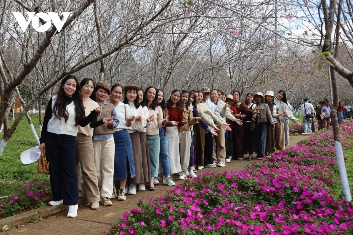 Visitors take photos in Mang Den.