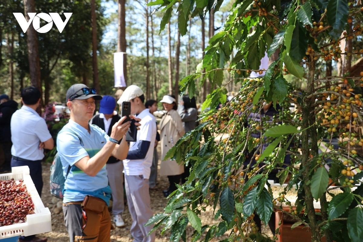 Mang Den, known as the "second Da Lat" in Vietnam, has attracted a significant number of visitors during holidays.