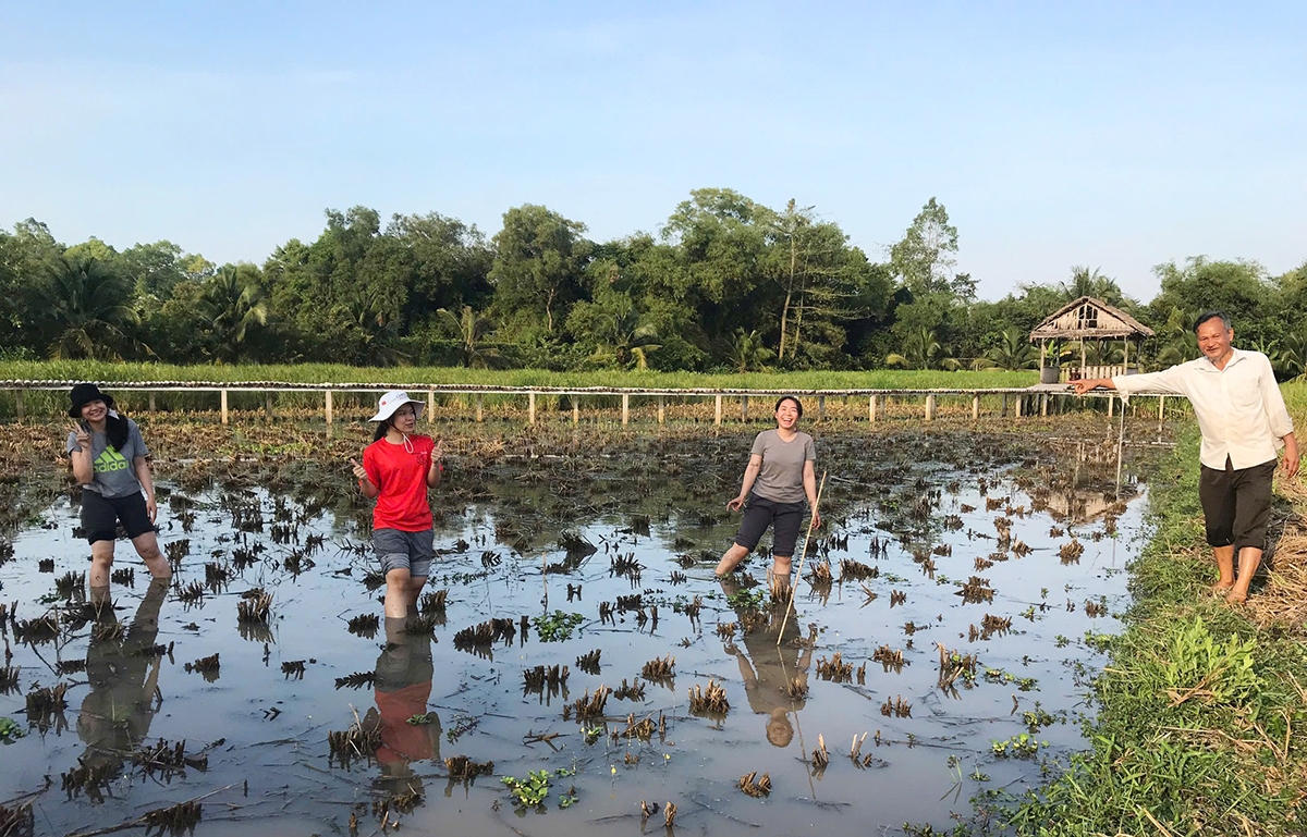  (Photo courtesy of Le Quoc Viet)