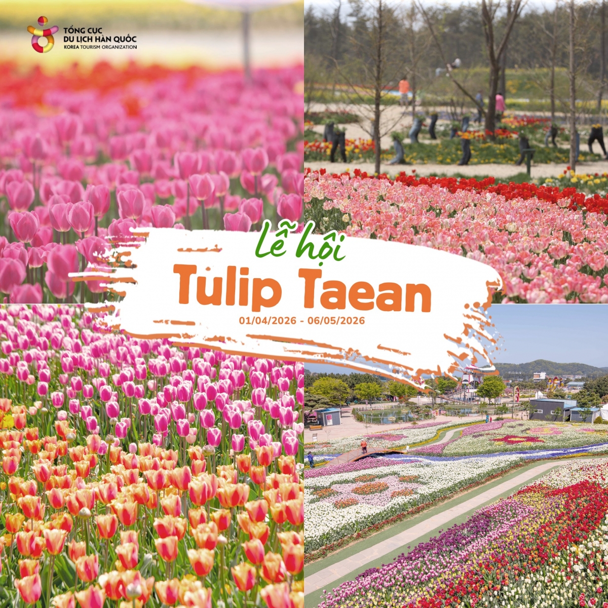 사진 출처: 주베트남 한국관광공사 