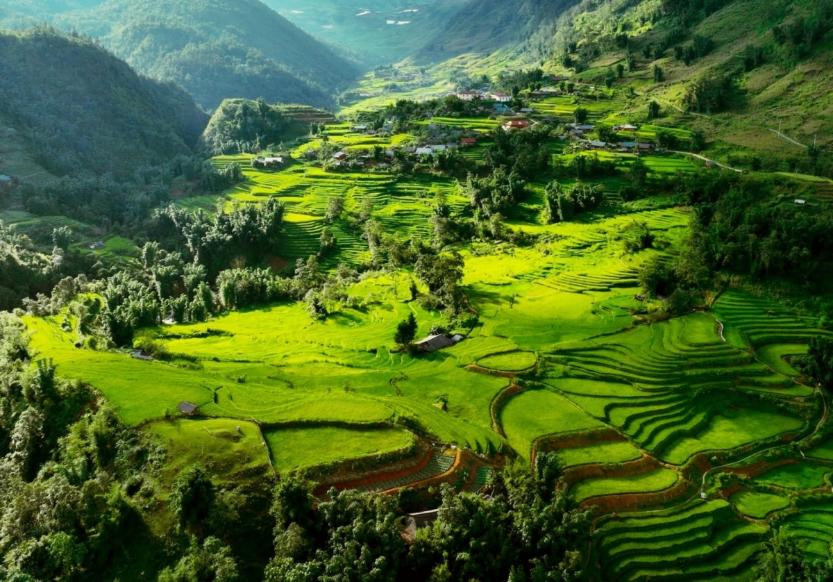 사파의 아름다운 계단식 논 풍경 (사진: 베트남통신사)