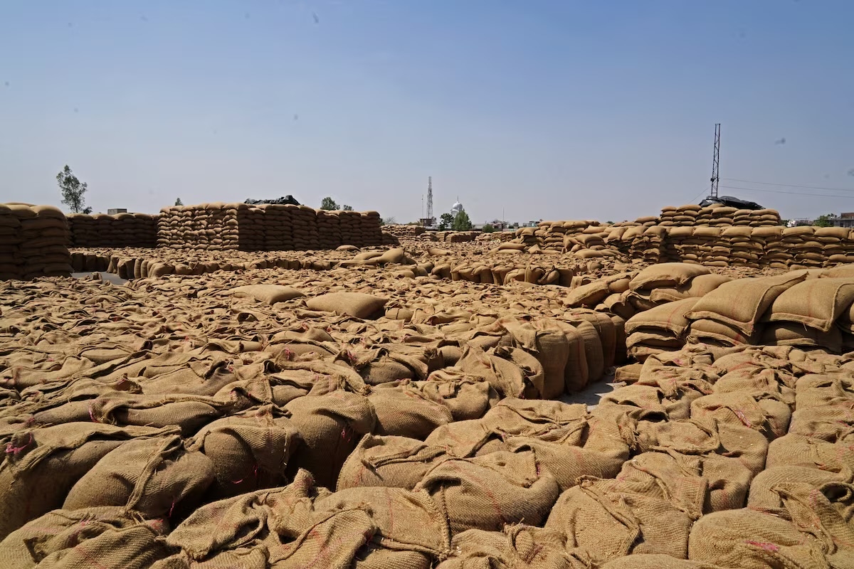 Sacks of harvested wheat are seen at a grain market in Gaggarpur village, in the northern state of Haryana, India, April 25, 2025. (REUTERS/Bhawika Chhabra)