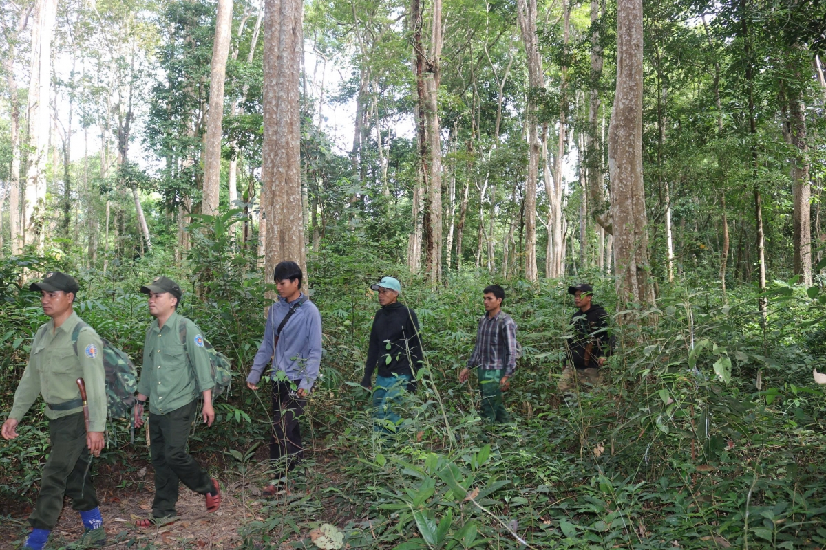 The village forest protection team  go on patrol. (Photo: Thanh Thang/ VOV-Central Region)