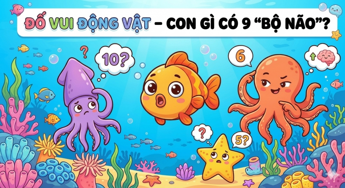 Bí ẩn đại dương: Con gì có 9 bộ não? 