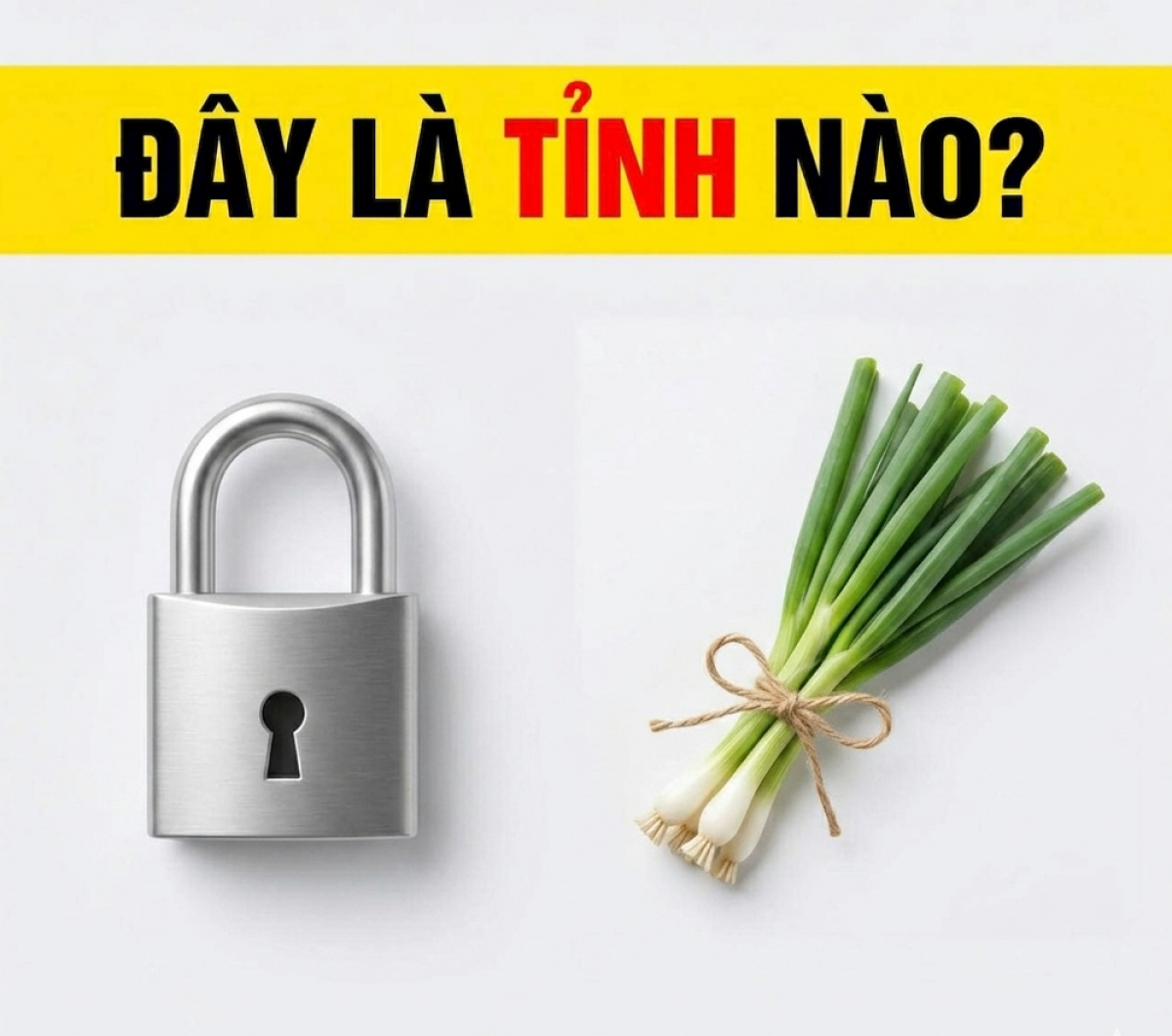 Đuổi hình bắt chữ: Đây là tỉnh thành nào của nước ta?