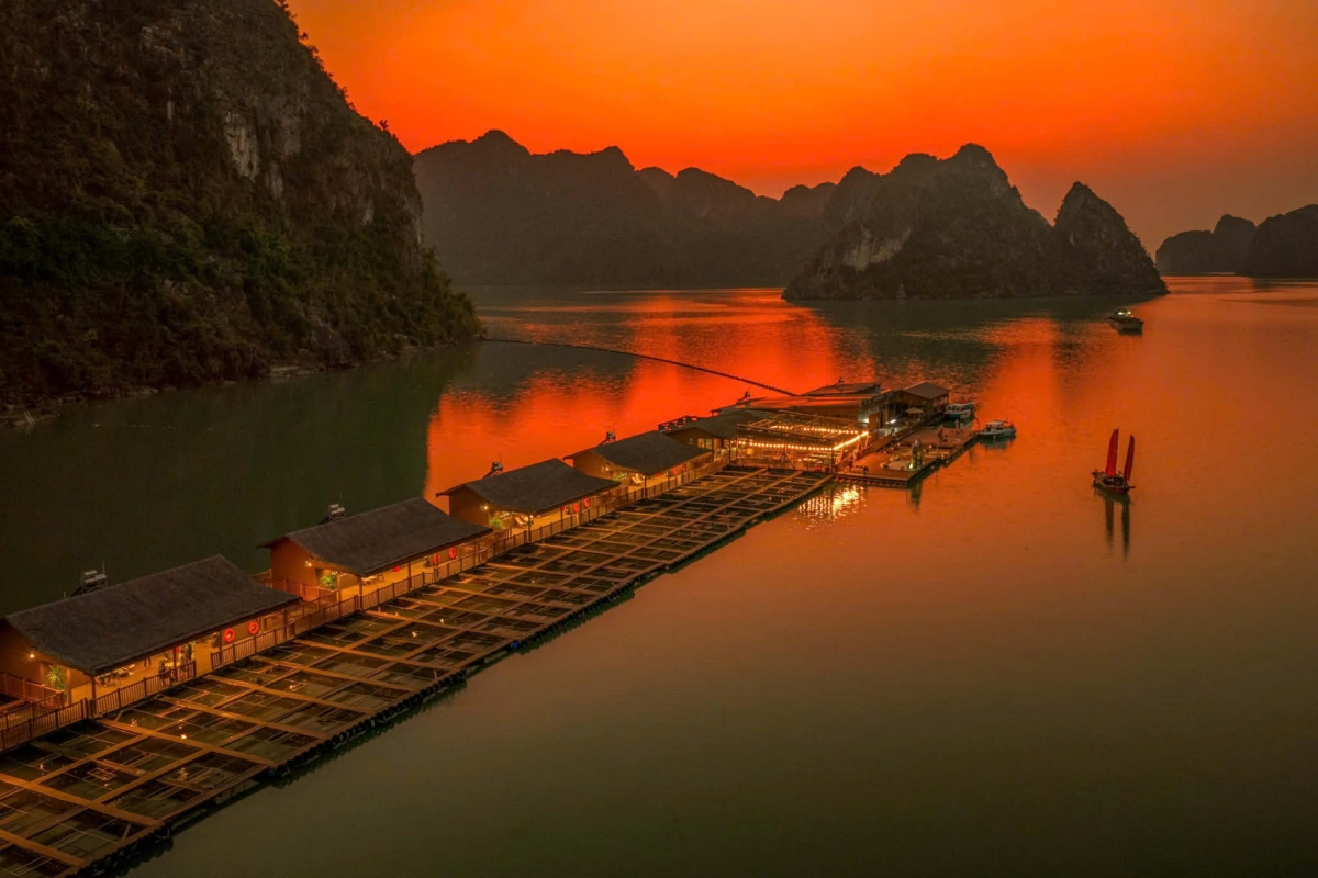 Mang dáng vẻ như một làng cổ tích giữa biển, nếu vịnh Hạ Long (Quảng Ninh) có làng chài Vung Viêng, thì vịnh Lan Hạ giờ đây có thêm một cái tên: Nhà bè Hải Phong, điểm đến mới của du lịch biển Hải Phòng. - Ảnh: HTX Hải Phong