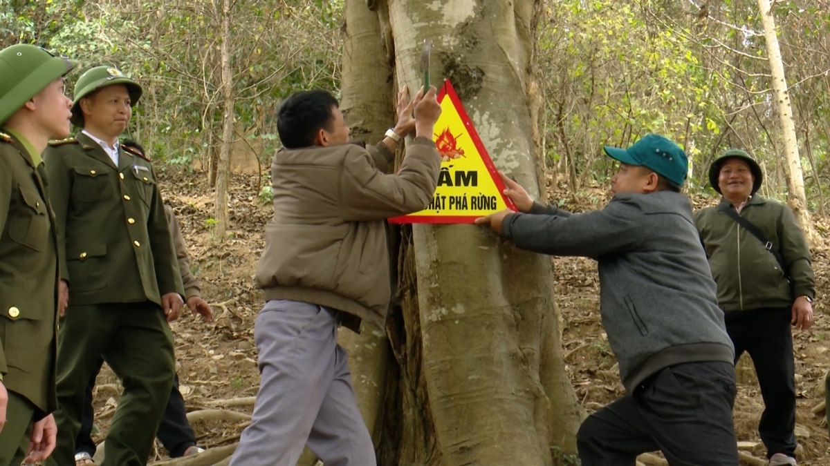 Warning and prohibition signs are installed to raise public awareness about forest protection and forest fire prevention and control. (Photo: Tran Long/VOV-Northwest Region)