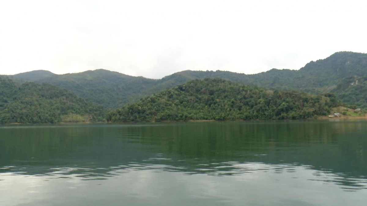 Forest Ranger Unit No. 1 of the Son La Forest Protection Department manages more than 53,000 hectares of forest. (Photo: Tran Long/VOV-Northwest Region)