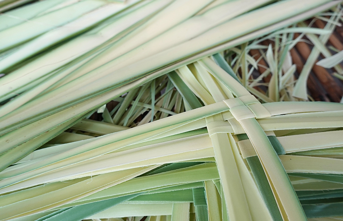 最も難しいシュガーパームの葉で編む皮