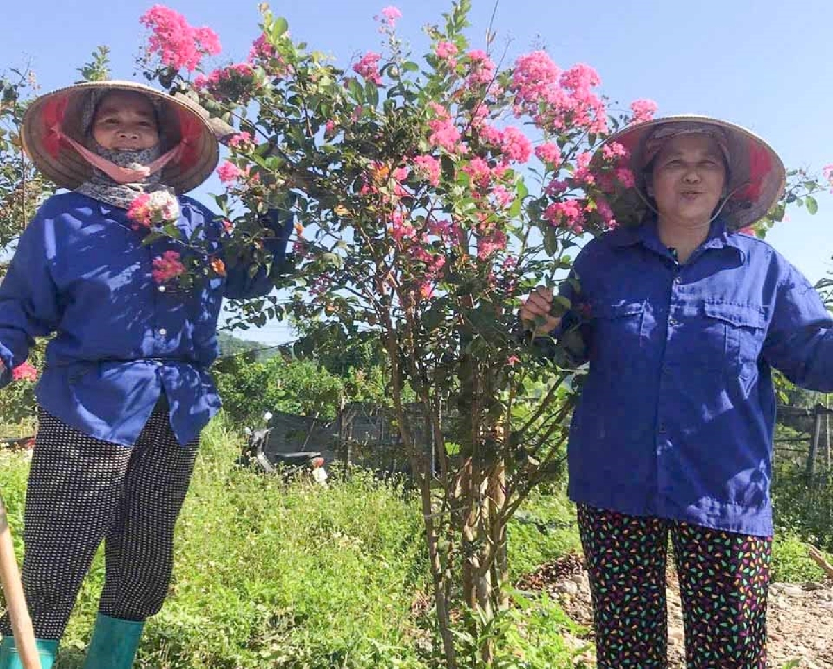 Le village devient plus vert, plus propre et plus agréable grâce aux soins et à l’engagement des femmes locales. Photo: Thuy Kiêu/VOV Nord-Est