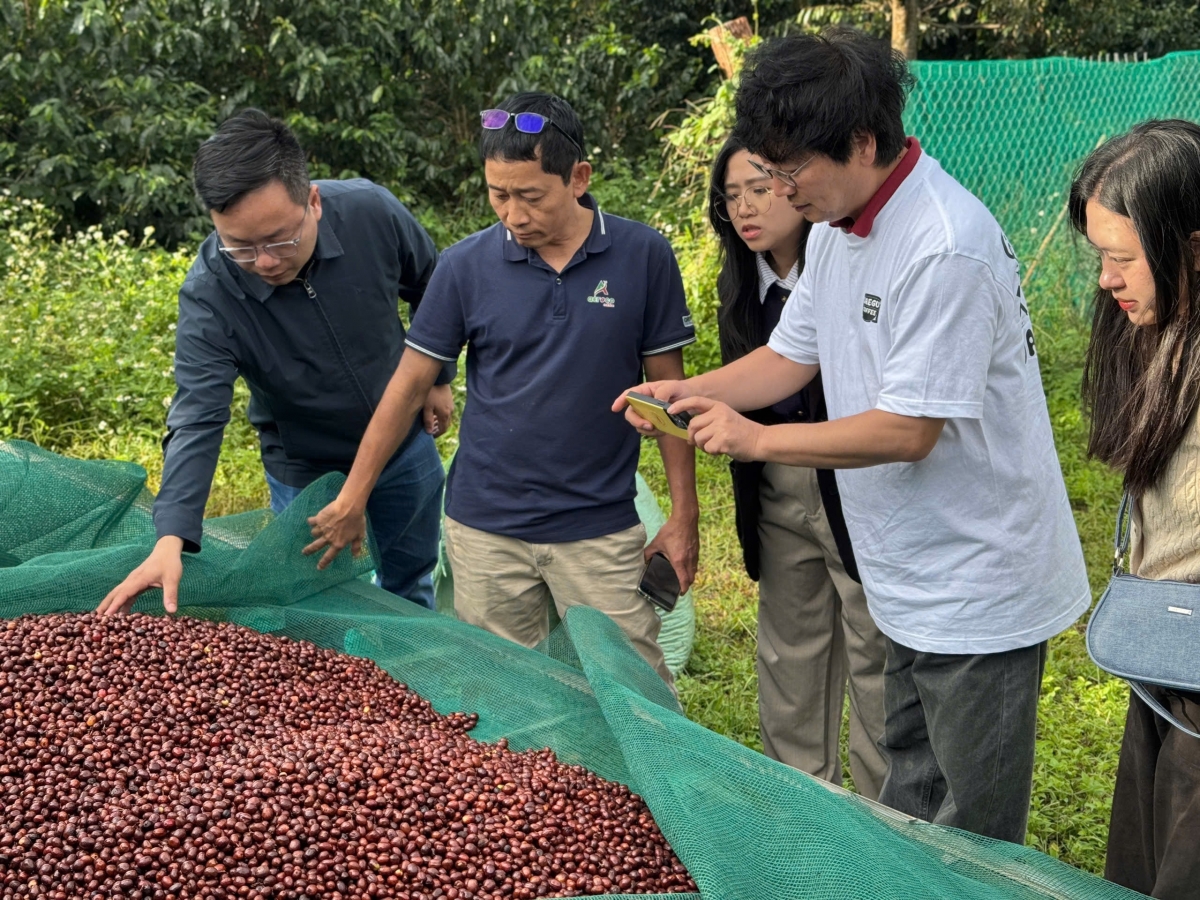 Thiết bị máy móc công nghệ hiện đại được các doanh nghiệp đầu tư, chuẩn hoá ngay từ đầu.