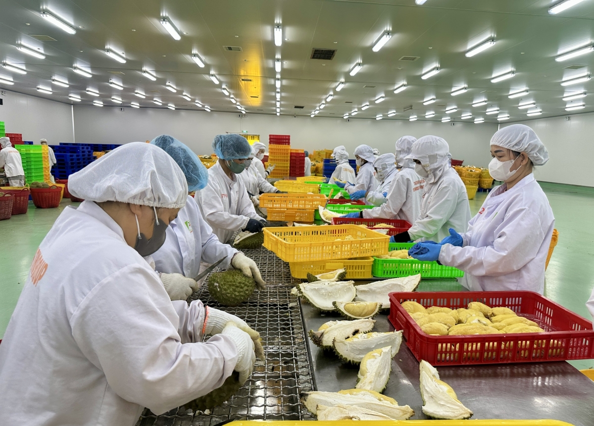 Sản phẩm nông sản Đắk Lắk ngày càng được nhiều khách hàng quốc tế quan tâm.