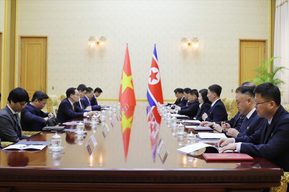 Vue d'ensemble de l'entretien entre  le ministre des Affaires étrangères Lê Hoài Trung et son homologue Choe Son Hui  Photo: Dô Sinh/VNA République de Corée