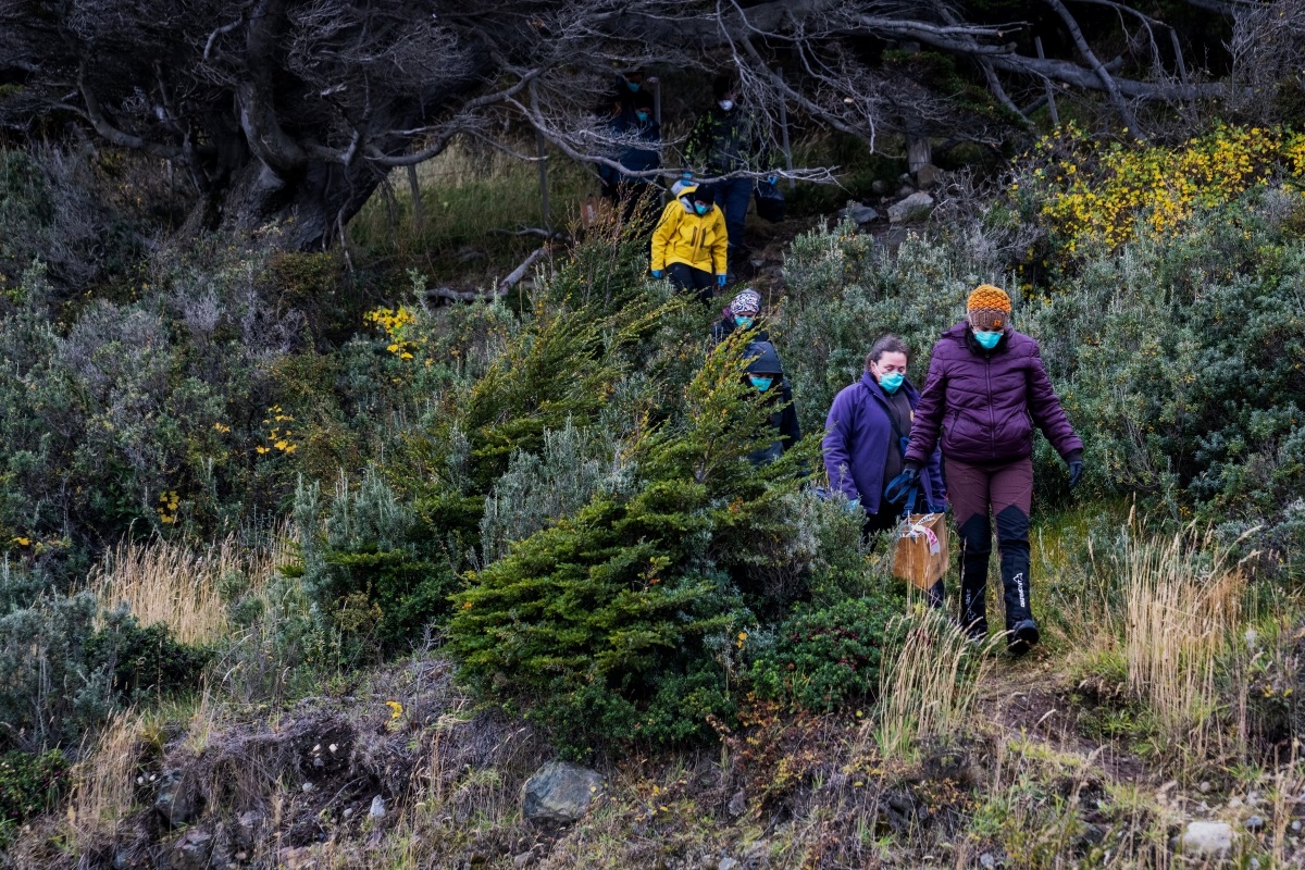 Argentine scientists collect traps placed at different points across Ushuaia, Argentina, Tuesday, May 19, 2026, as part of an investigation for the source of the hantavirus outbreak on the MV Hondius cruise ship. (Photo: AP/Lujan Agusti)
