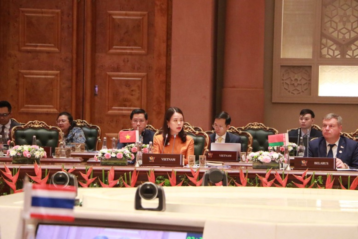 Deputy Minister of Foreign Affairs Nguyen Minh Hang speaks at a discussion session of BRICS Expanded Foreign Ministers' Meeting in New Delhi, India. Photo: VGP