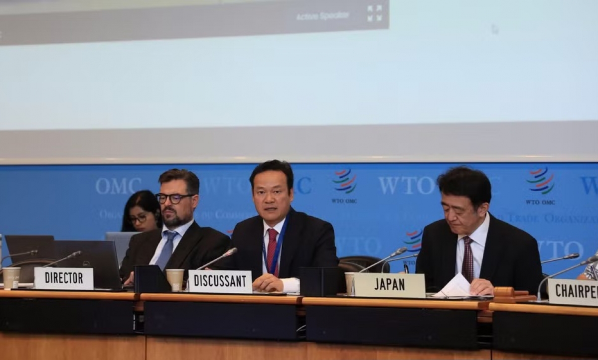  El embajador Mai Phan Dung, jefe de la misión permanente de Vietnam en Ginebra, Suiza, interviene en la sesión del OEPC. Foto: VNA