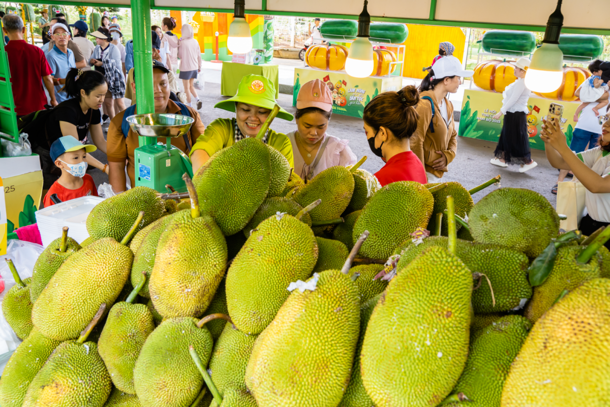 Jackfrüchte sind beliebte Spezialität in Südvietnam. (Foto: baotintuc.vn)