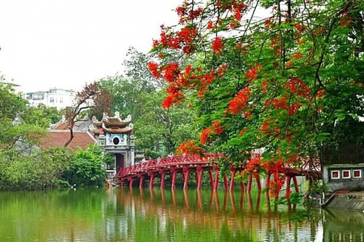 Flamboyant flowers signal the beginning of summer in Vietnam.