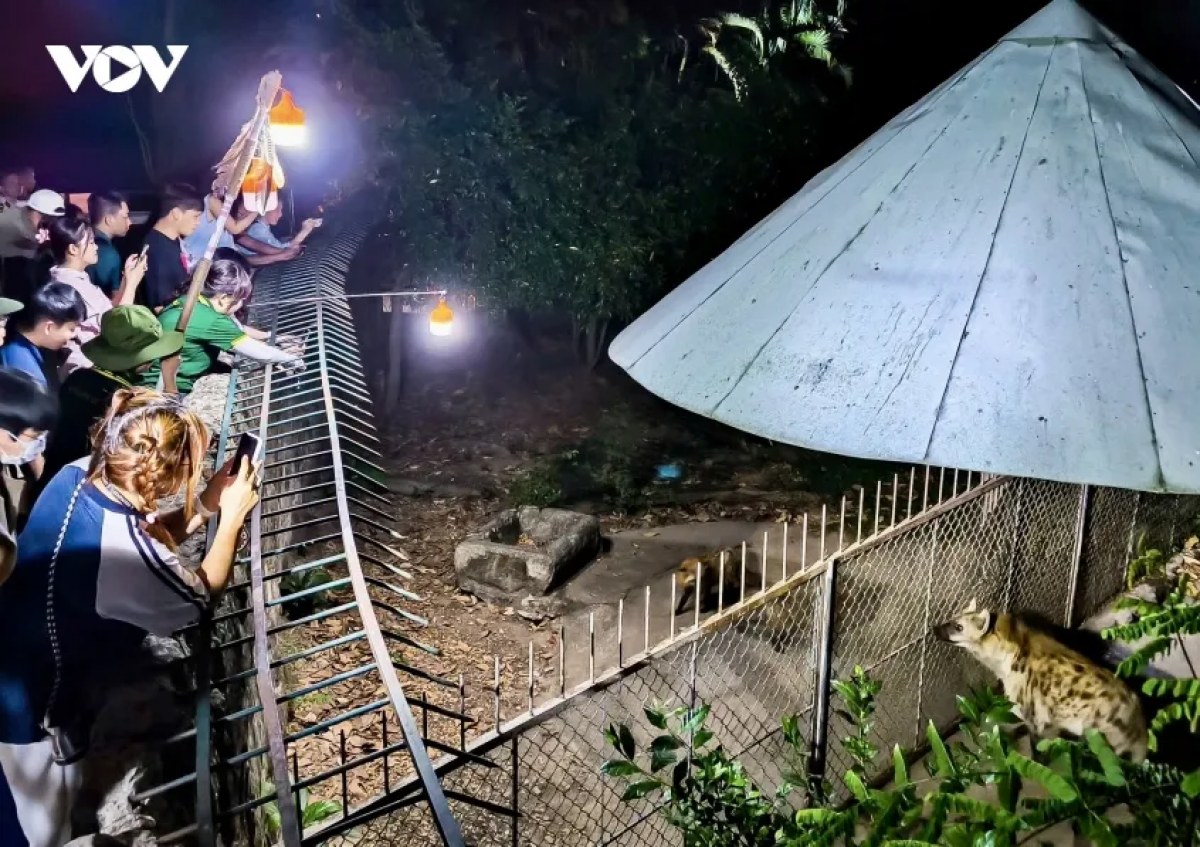 夜の動物観察ツアー、さまざまな魅力を体験（写真：Minh Hạnh/VOV-TP.HCM）