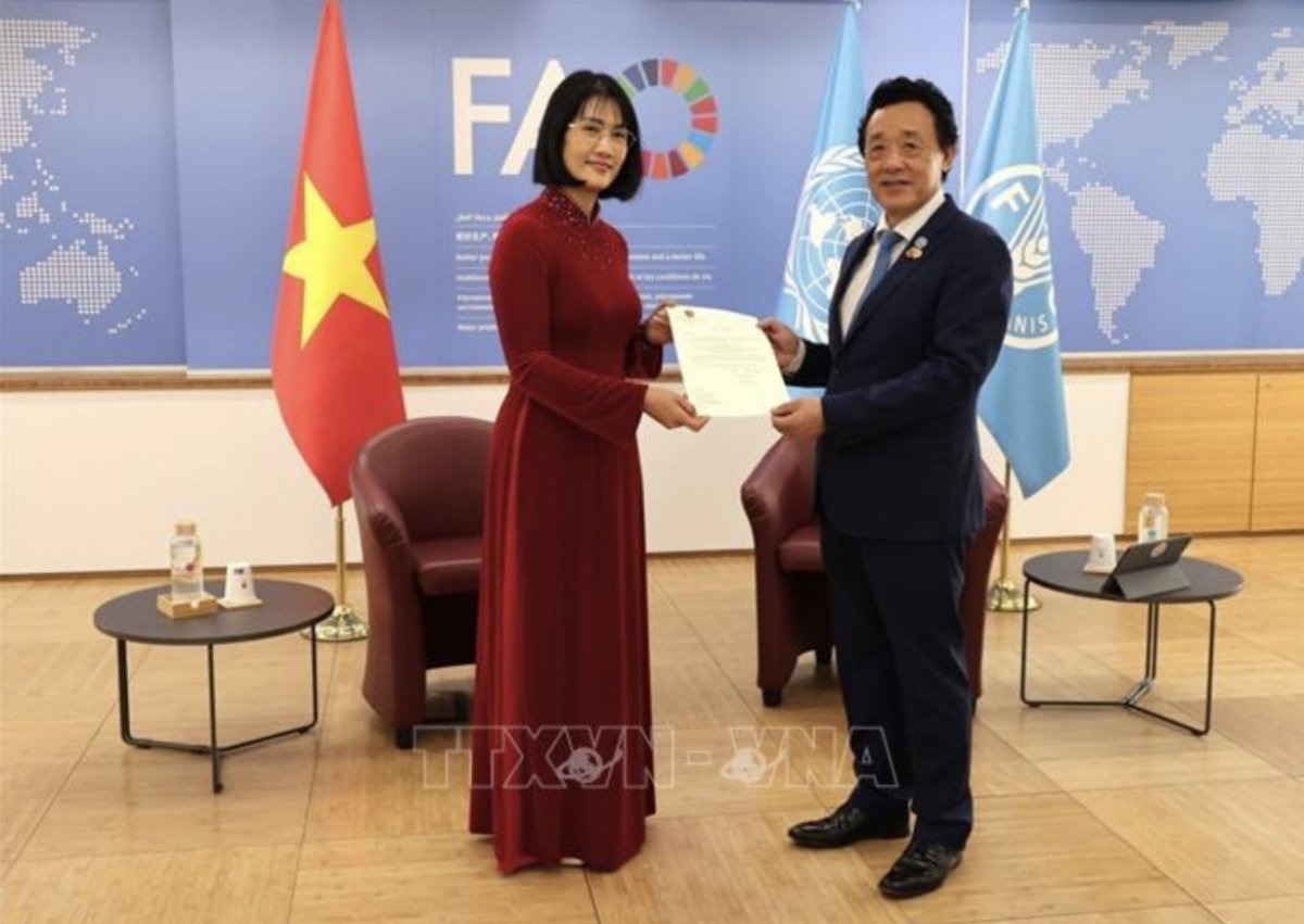  La embajadora de Vietnam en Italia, Nguyen Phuong Anh, presenta las cartas credenciales al director general de la Organización de las Naciones Unidas para la Alimentación y la Agricultura (FAO), Qu Dongyu, en la sede de la organización en Roma. Foto: VNA