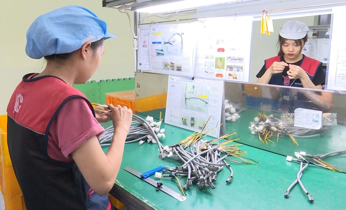 （写真： baothainguyen.vn）