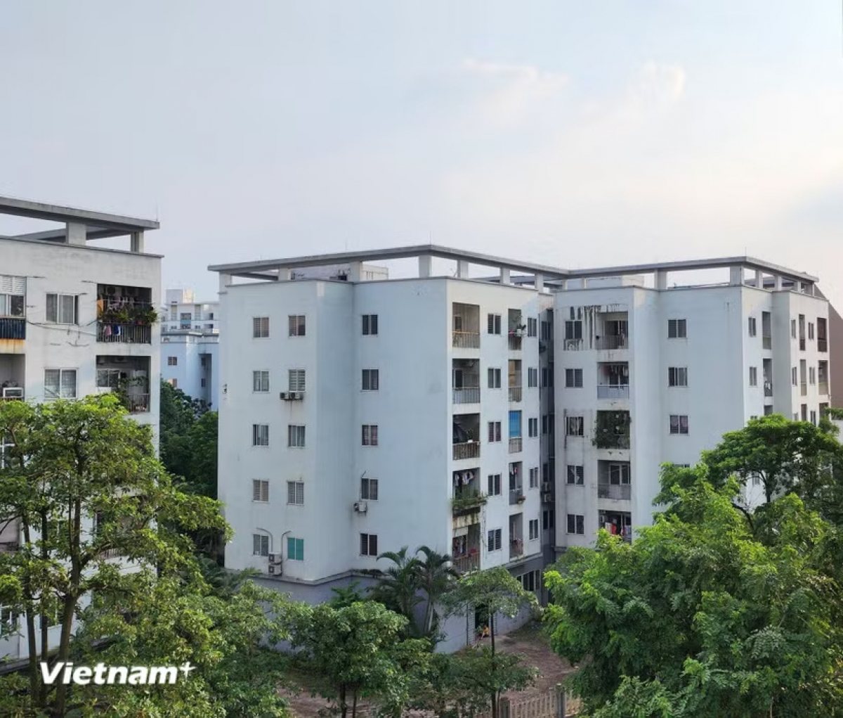  Ảnh minh họa. Nguồn: Vietnam+