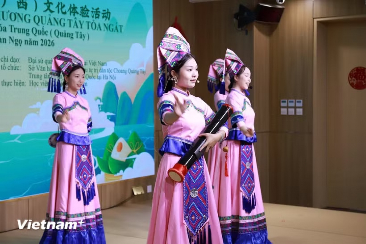 活动上表演的艺术节目。