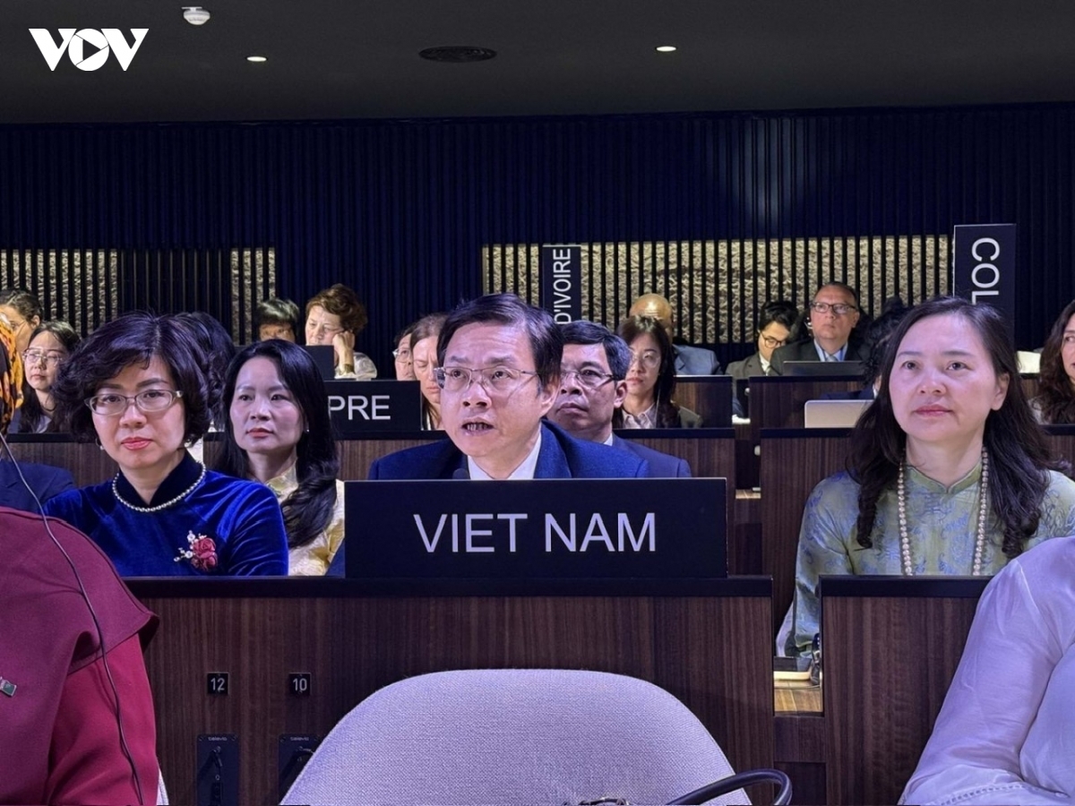 Deputy Foreign Minister Ngo Le Van speaks at the 11th session of the General Assembly of the States Parties to the Convention for the Safeguarding of the Intangible Cultural Heritage, Paris, France. 