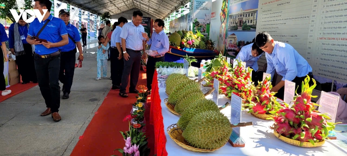 Sầu riêng là trái cây chủ lực của tỉnh Đồng Tháp có giá trị xuất khẩu cao