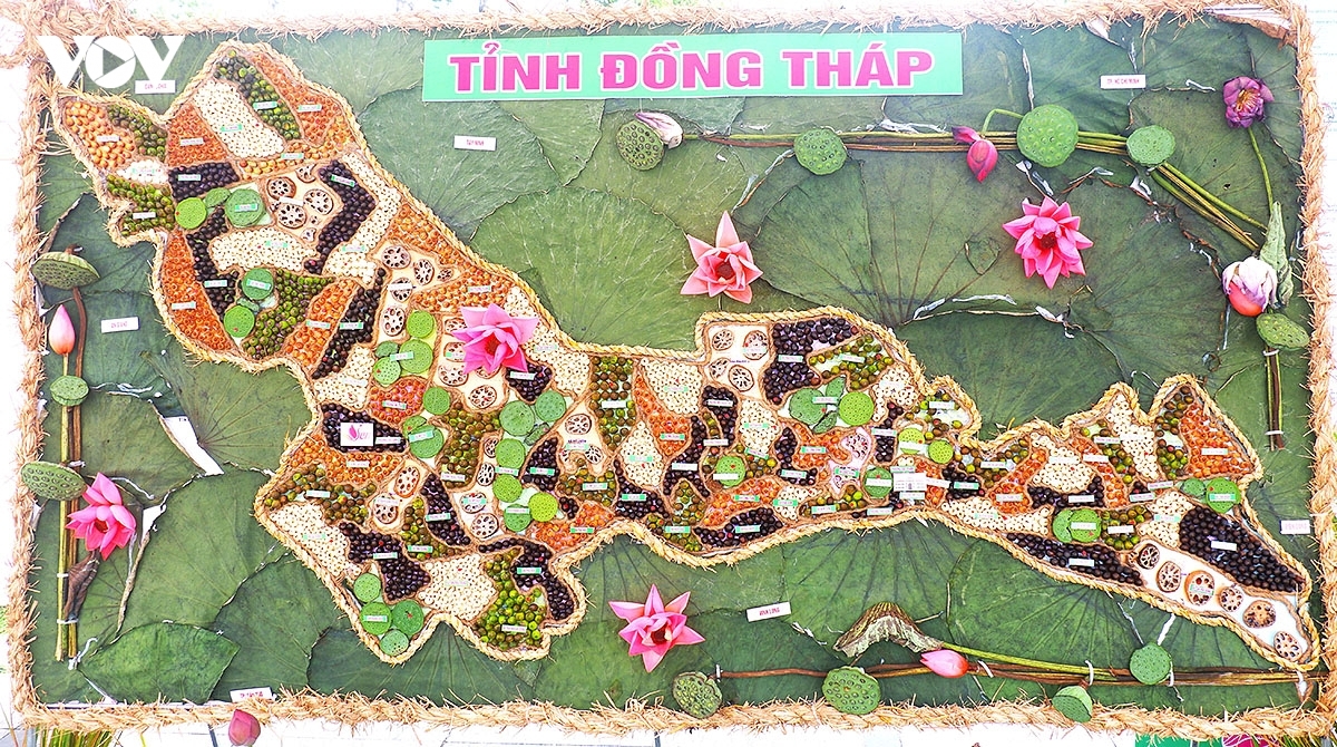 Bản đồ tỉnh Đồng Tháp được làm từ hạt sen khô 2,6kg, Hạt sen sấy 2,6kg, Hạt sen khô tách vỏ 2,8kg, Hạt sen tươi 2,6kg, Củ sen 2,5kg, Gương sen 2,5kg, Cành lá sen và gương sen.