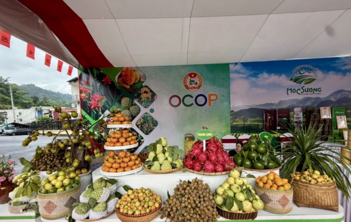 ​ຜ​ະ​ລິດ​ຕະ​ພັນ OCOP ມາ​ຈາກ​ແຂວງເຊີນ​ລາ (ພາບ: VOV)