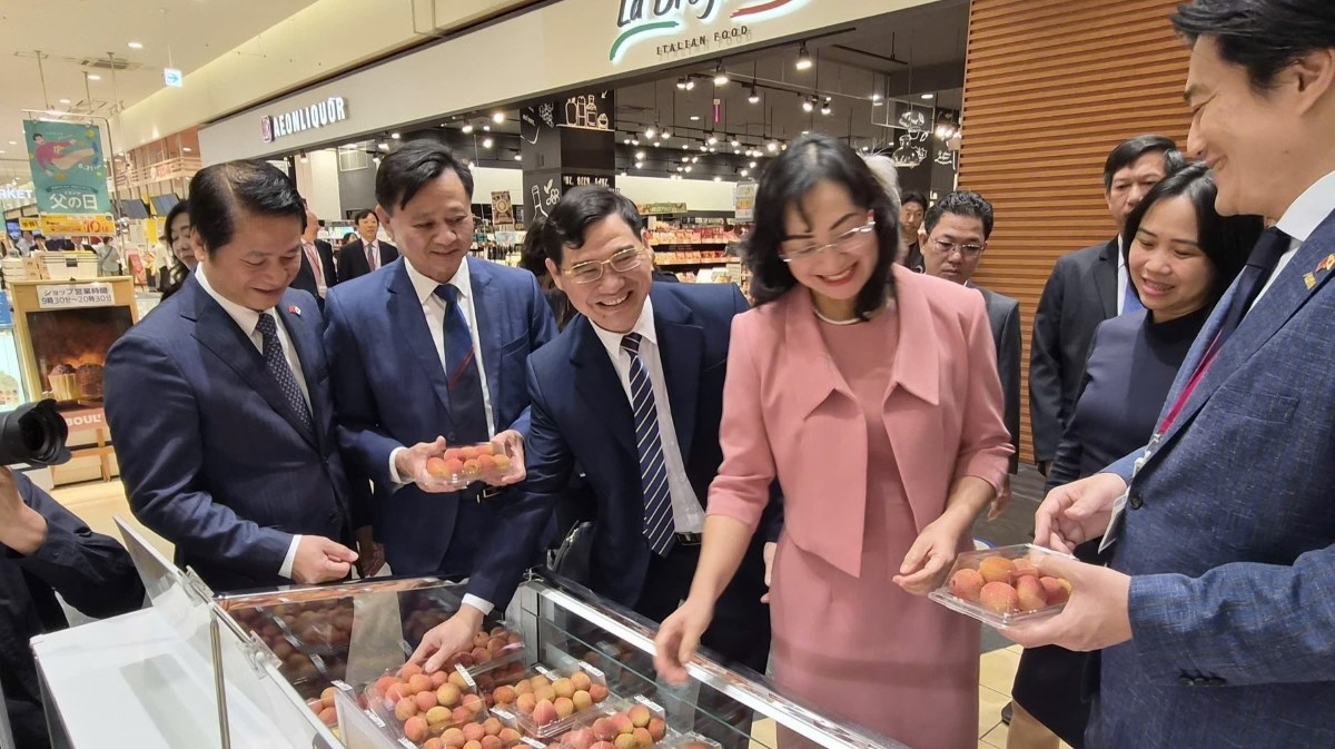 Des litchis vietnamiens. Photo: VOV Tokyo