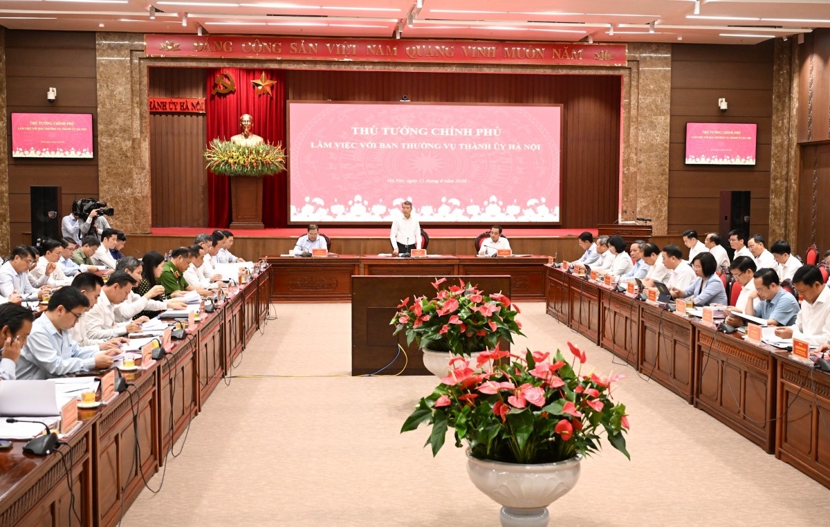 会议全景。