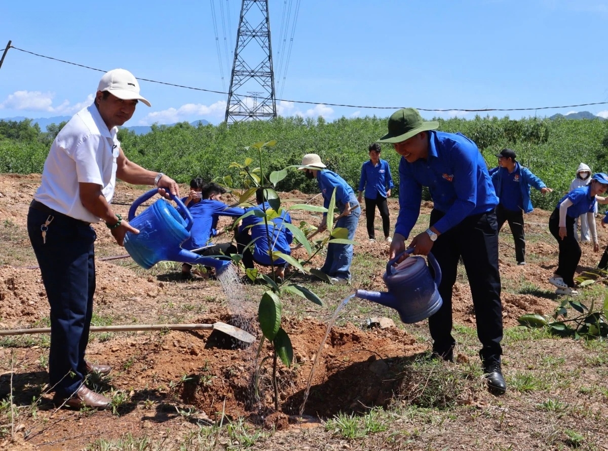 Trồng mới cây xanh bảo vệ môi trường. Ảnh: VOV