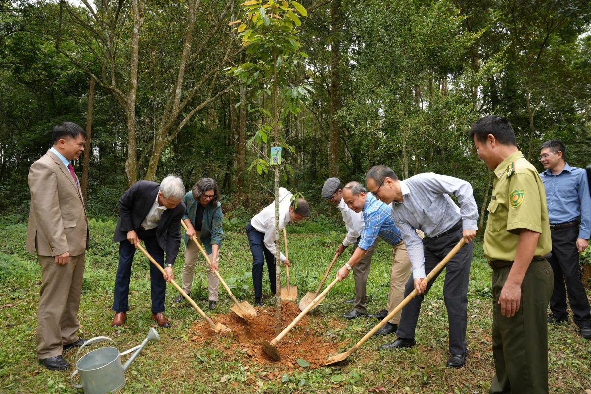 Trưởng đại diện FAO tại Việt Nam cùng đại diện các đối tác trồng cây tại Rừng Quốc gia Cúc Phương nhân Ngày Quốc tế về Rừng 2026
