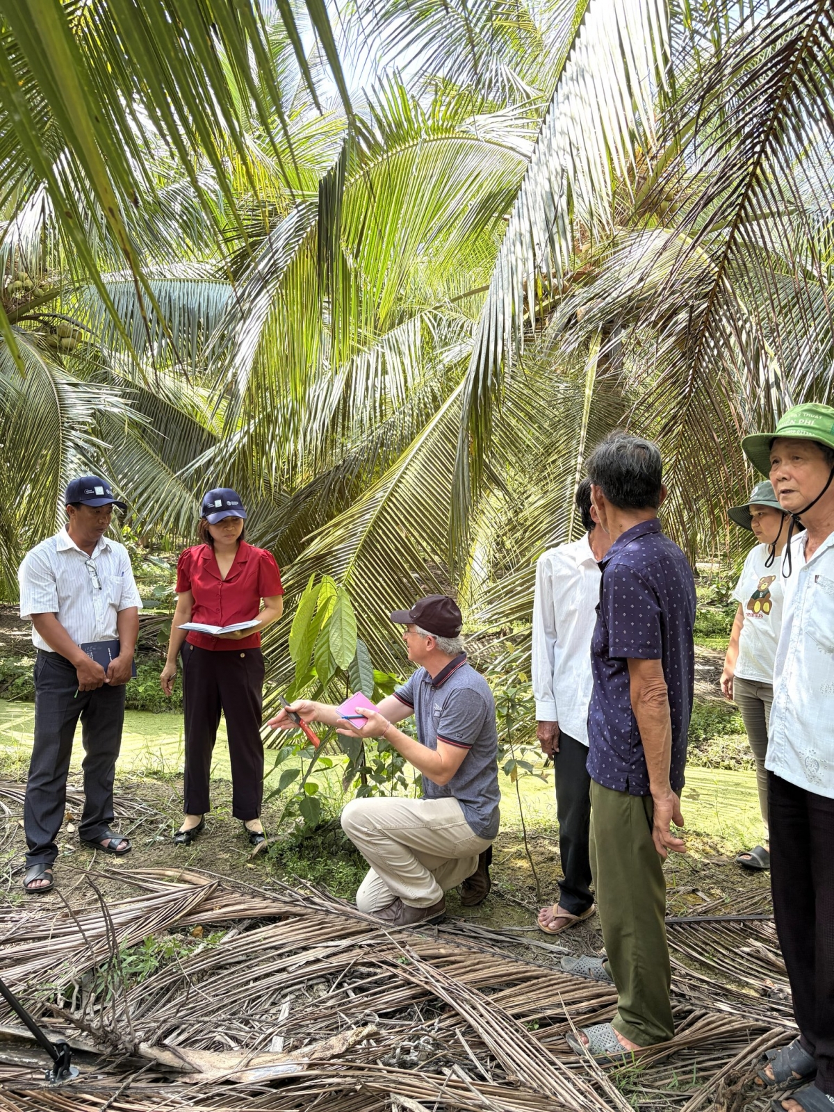  Chuyến thực địa của chuyên gia EU và FAO<br>
trong khuôn khổ dự án STAR-FARM đang<br>
triển khai tại Đồng bằng sông Cửu Long.