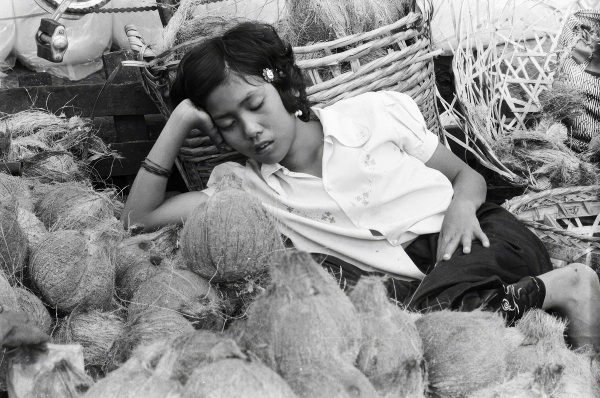 Ảnh của nhiếp ảnh gia Gilbert Bertrand.