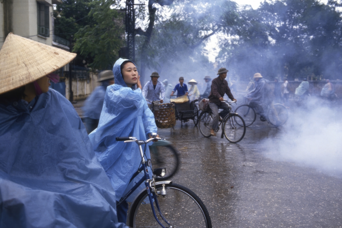 Ảnh của Lily Franey