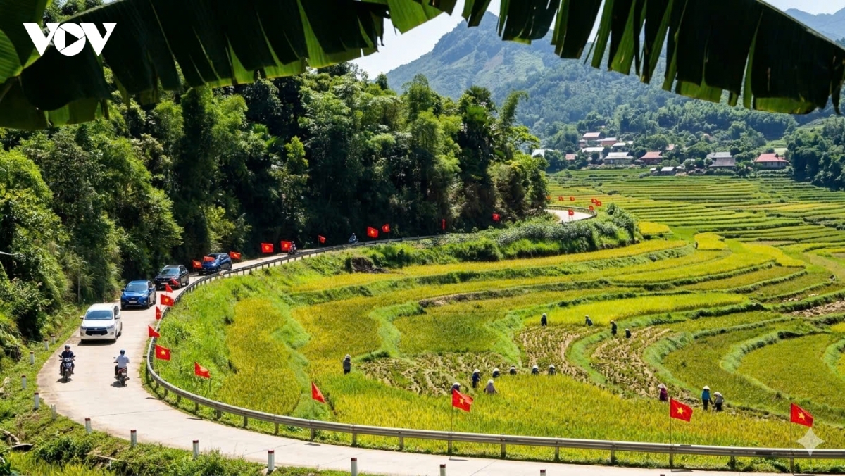 Mùa lúa chín phủ vàng những thung lũng ở Khu bảo tồn thiên nhiên Pù Luông, tạo nên bức tranh bình yên giữa đại ngàn xứ Thanh.