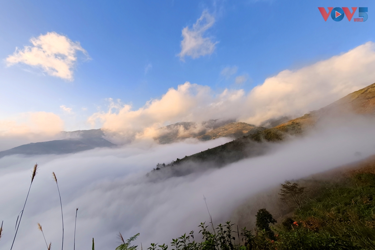 Ta Xua’s spectacular cloud-covered mountain landscapes earn the commune the nickname “the cloud-hunting paradise.” (Photo: Duc Anh/VOV5)