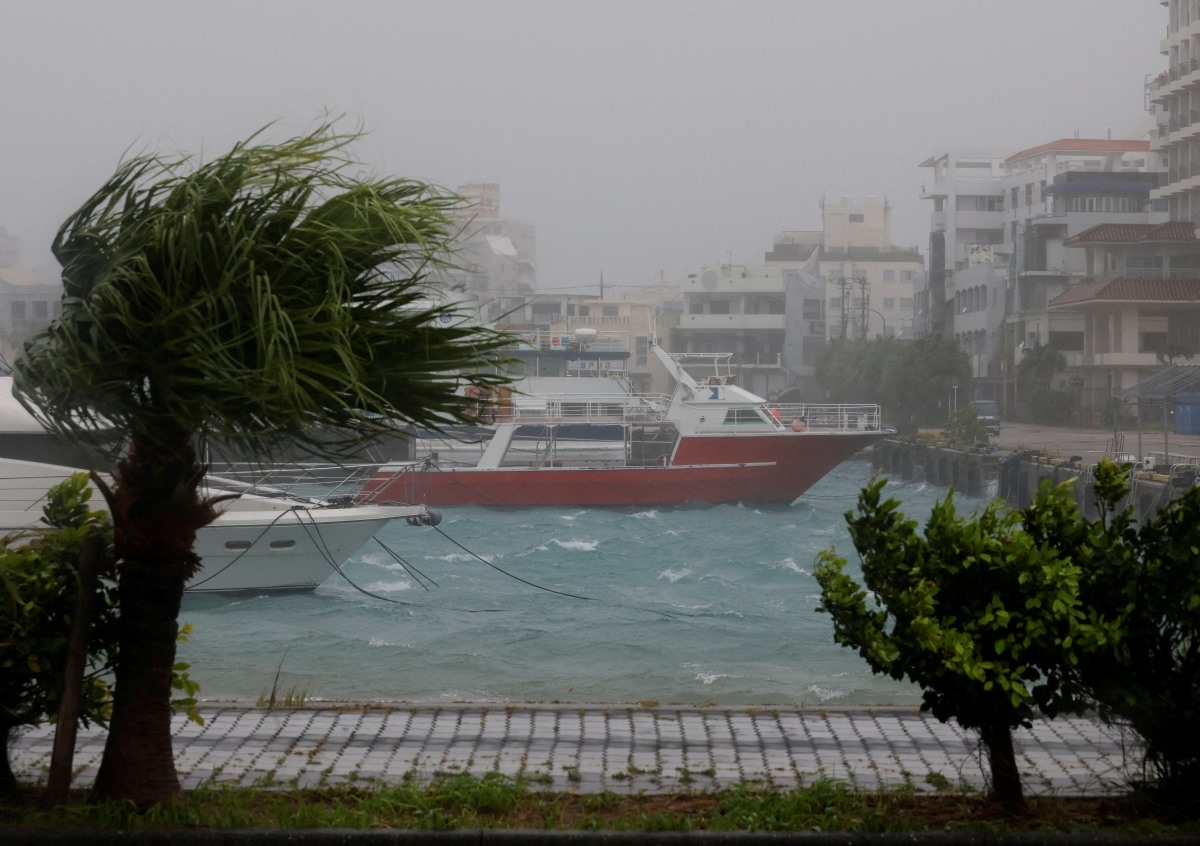 Le vent violent fait trembler les arbres dans un port alors que la tempête Bavi passe, à Ishigaki, Japon, le 11 juillet 2026. Photo: REUTERS/Kim Kyung-Hoon