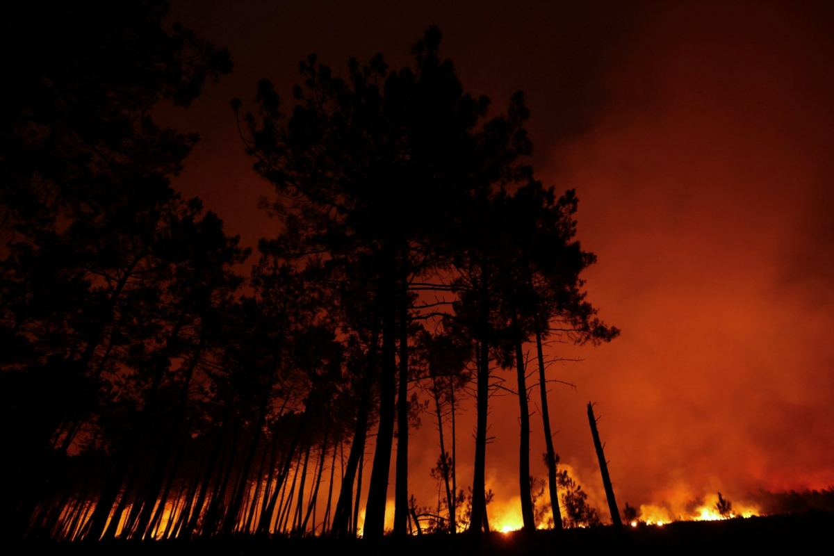 Incendio forestal en Ares, Grionde, Francia, el 25 de julio de 2026. Foto: REUTERS/Stephane Mahe