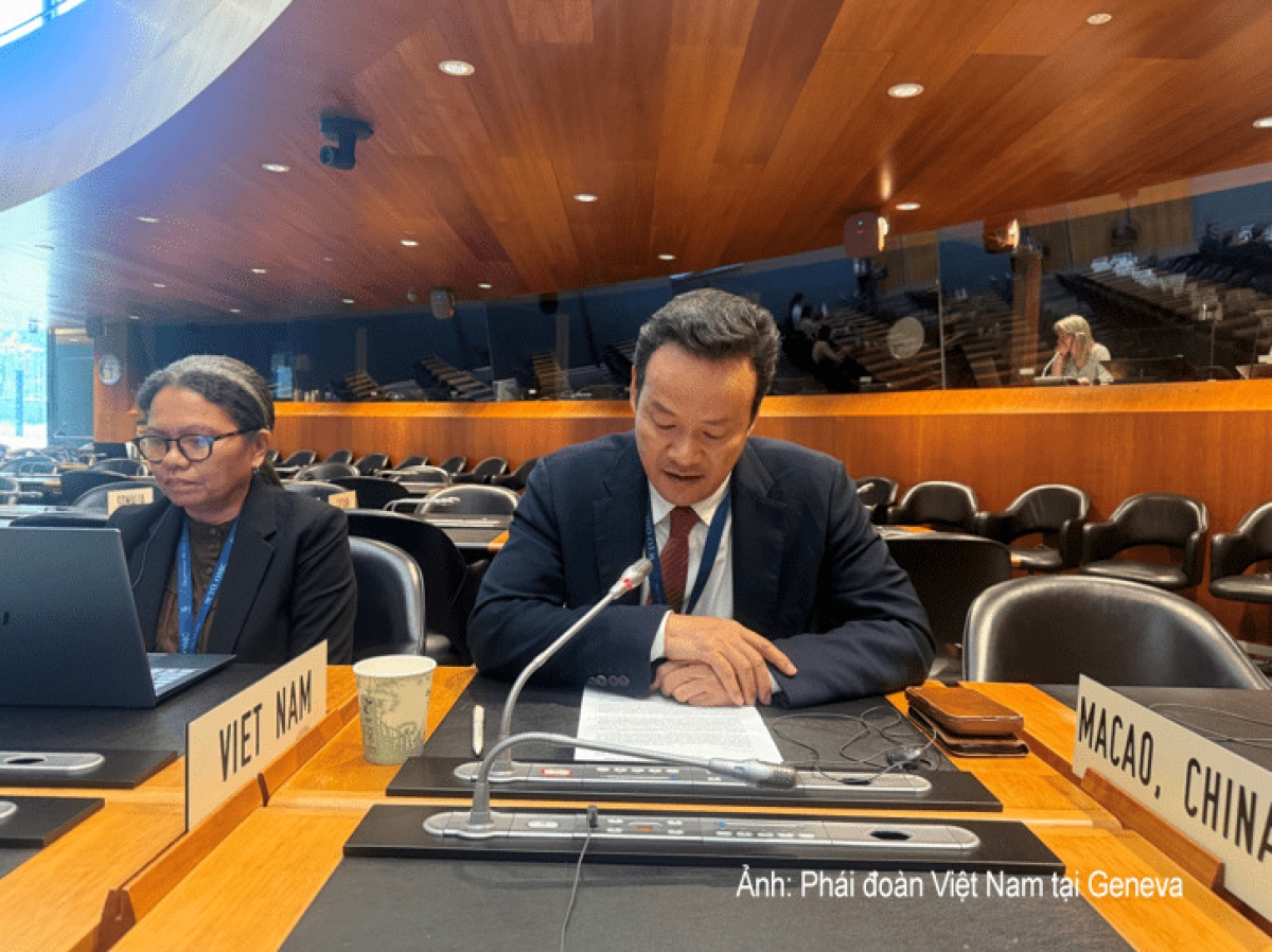 Đại sứ, Trưởng Phái đoàn Việt Nam tại Geneva Mai Phan Dũng phát biểu tại phiên họp rà soát chính sách thương mại của Ấn Độ. Ảnh: Phái đoàn Việt Nam tại Geneva