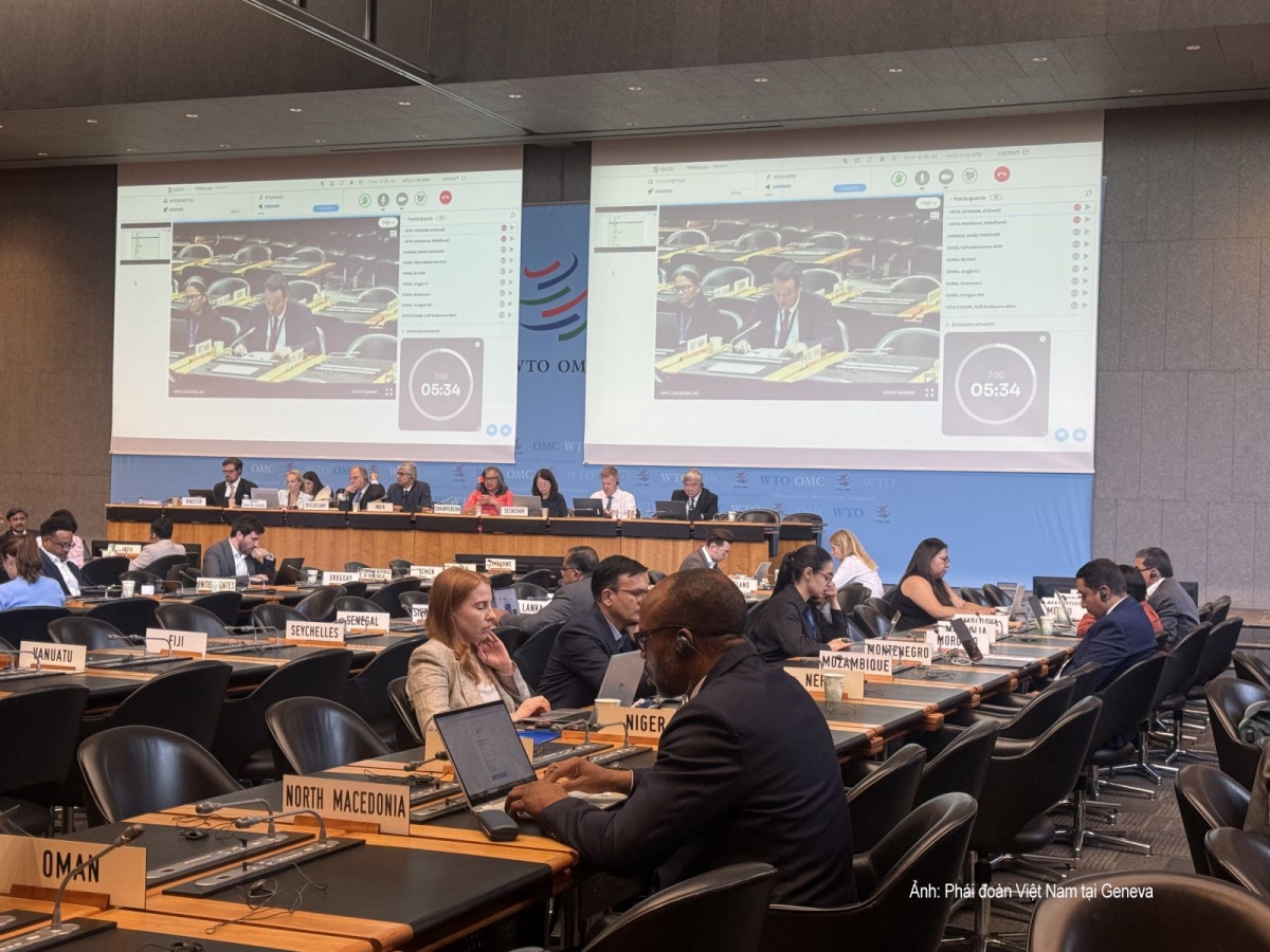 Quang cảnh phiên họp. Ảnh: Phái đoàn Việt Nam tại Geneva