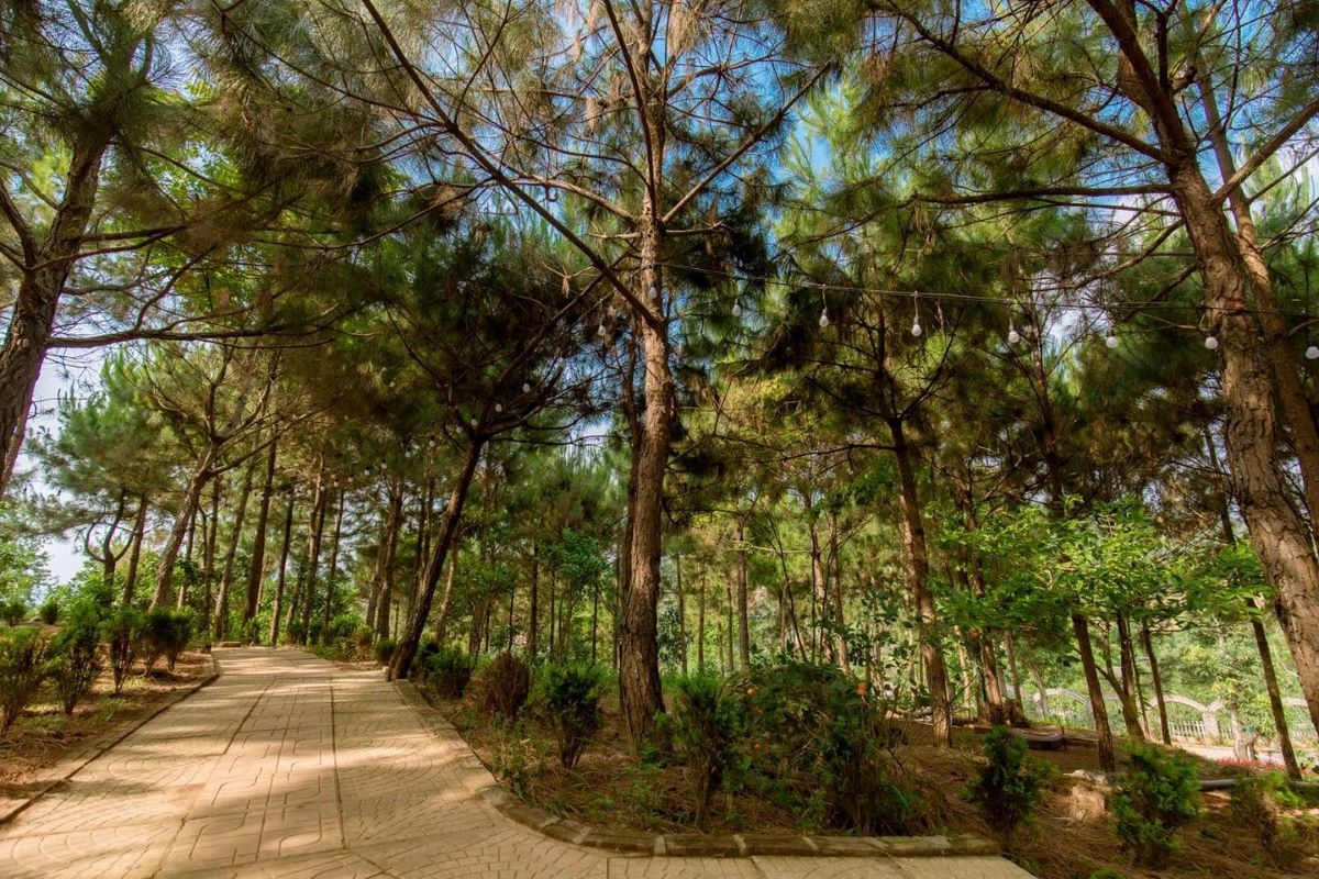 Eduland Ba Vi ist ein Ökotourismusziel, das sich harmonisch in die ruhige natürliche Umgebung einfügt. (Foto: edulandbavi.vn)