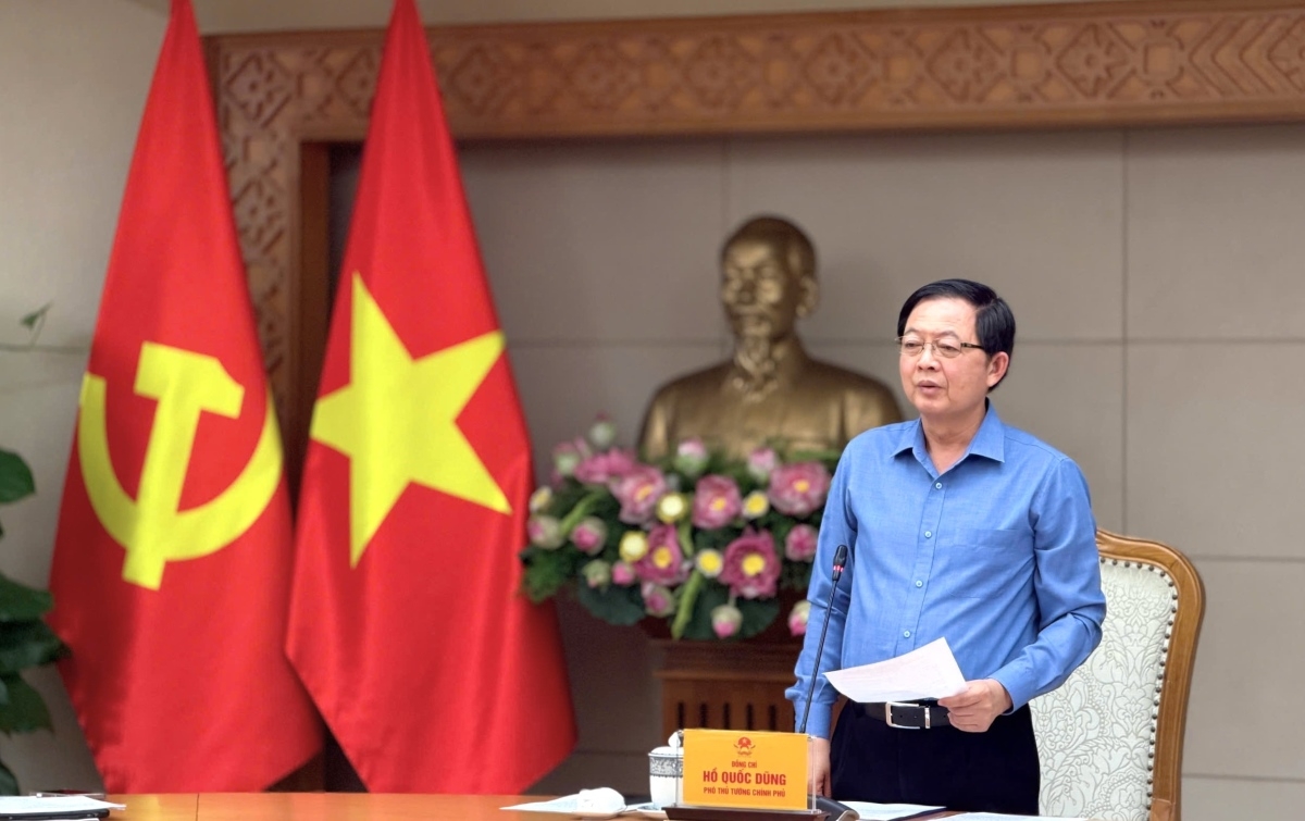 Wakil PM Ho Quoc Dung berbicara pada rapat tersebut (Foto: Van Hong/VOV)