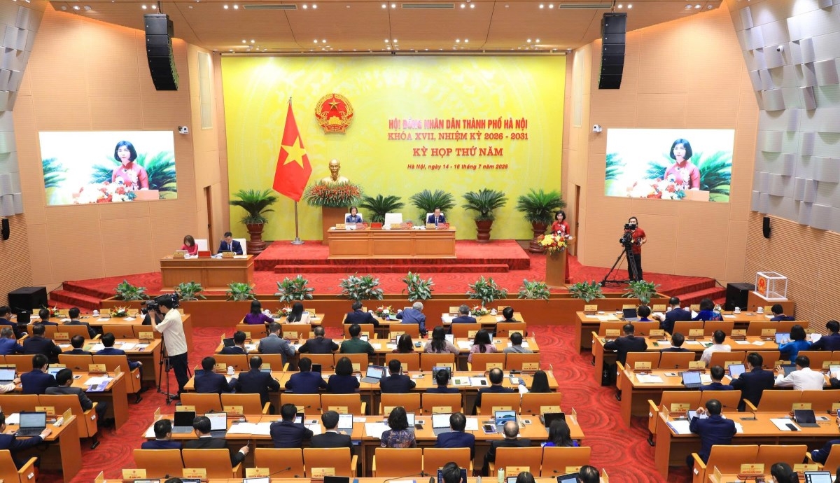 会议全景